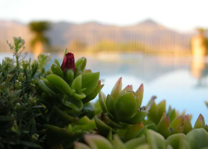 Aparthotel Verdeluna 3*